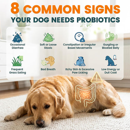 Carmelie dog probiotics for diarrhea and gas relief premium imported pet wellness chewables.