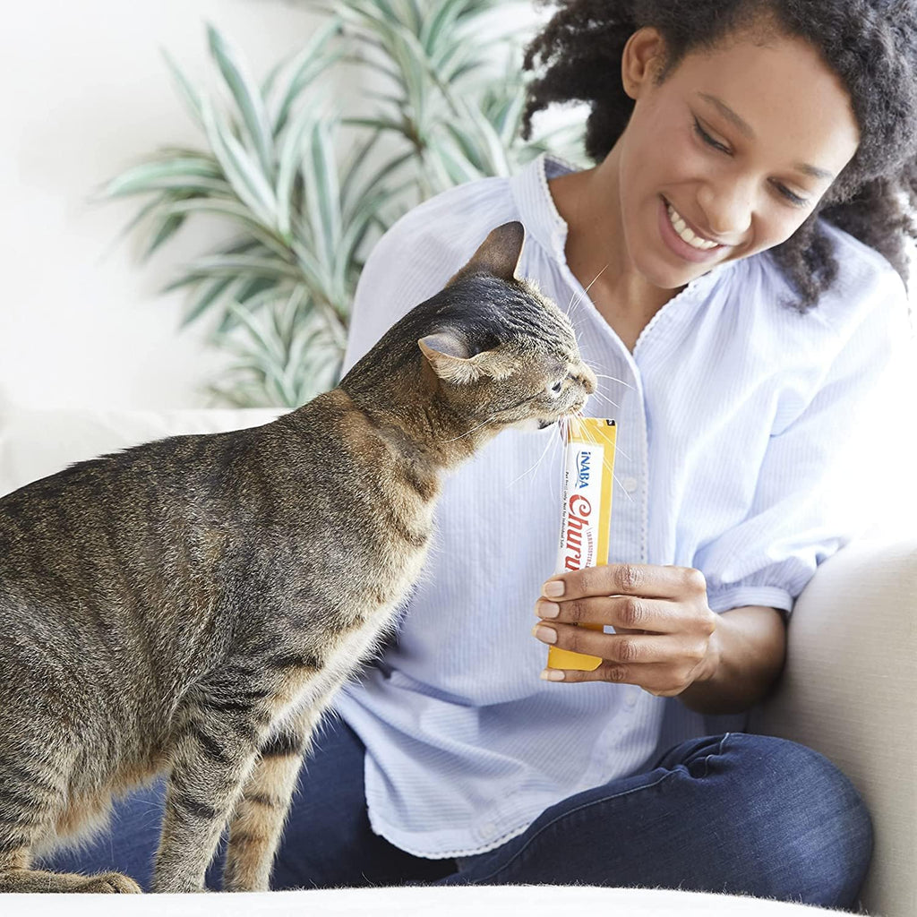 Owner hand feeding Inaba Churu treat to a happy cat