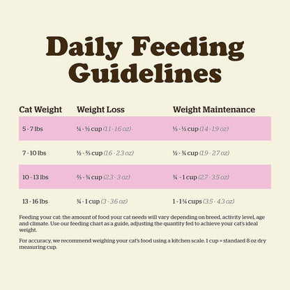 Now Fresh Adult Dry Cat Food, Turkey, Salmon & Duck, 3 lb - Image 10