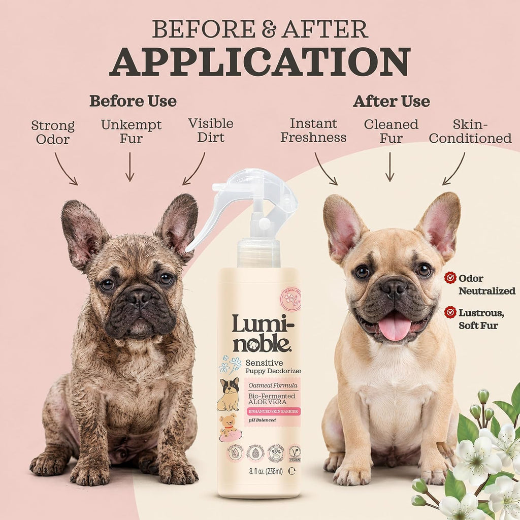 Lumi-Noble hypoallergenic dog spray being held by a hand