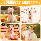 Soft polyester autumn themed pet neckwear collection from Reginary brand