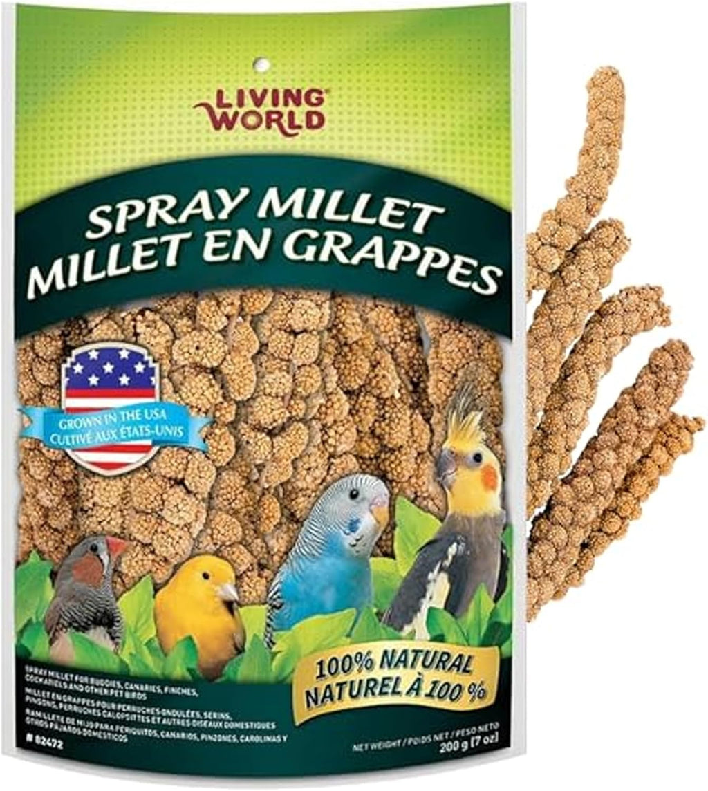Living World - Millet Spray for Birds, 3.5 Oz - Premium Treat for Budgies, Canaries, Finches, Cockatiels and Other Pet Birds - Image 10