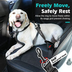 Dog wearing harness connected to car seatbelt