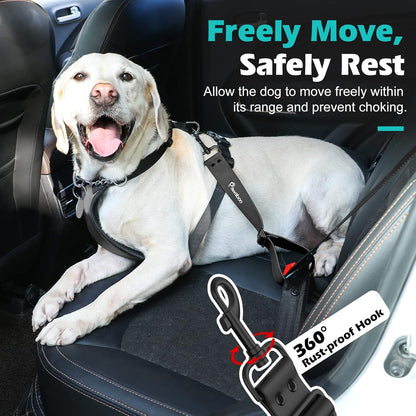 Dog wearing harness connected to car seatbelt