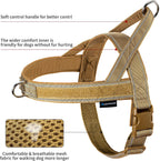 Annchwool training dog harness detail shot highlighting the heavy duty dual ring leash attachments.