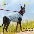 Dog wearing BAOBICUTE sun protection shirt outdoors