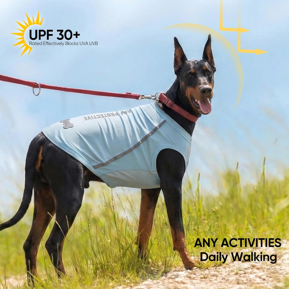 Dog wearing BAOBICUTE sun protection shirt outdoors