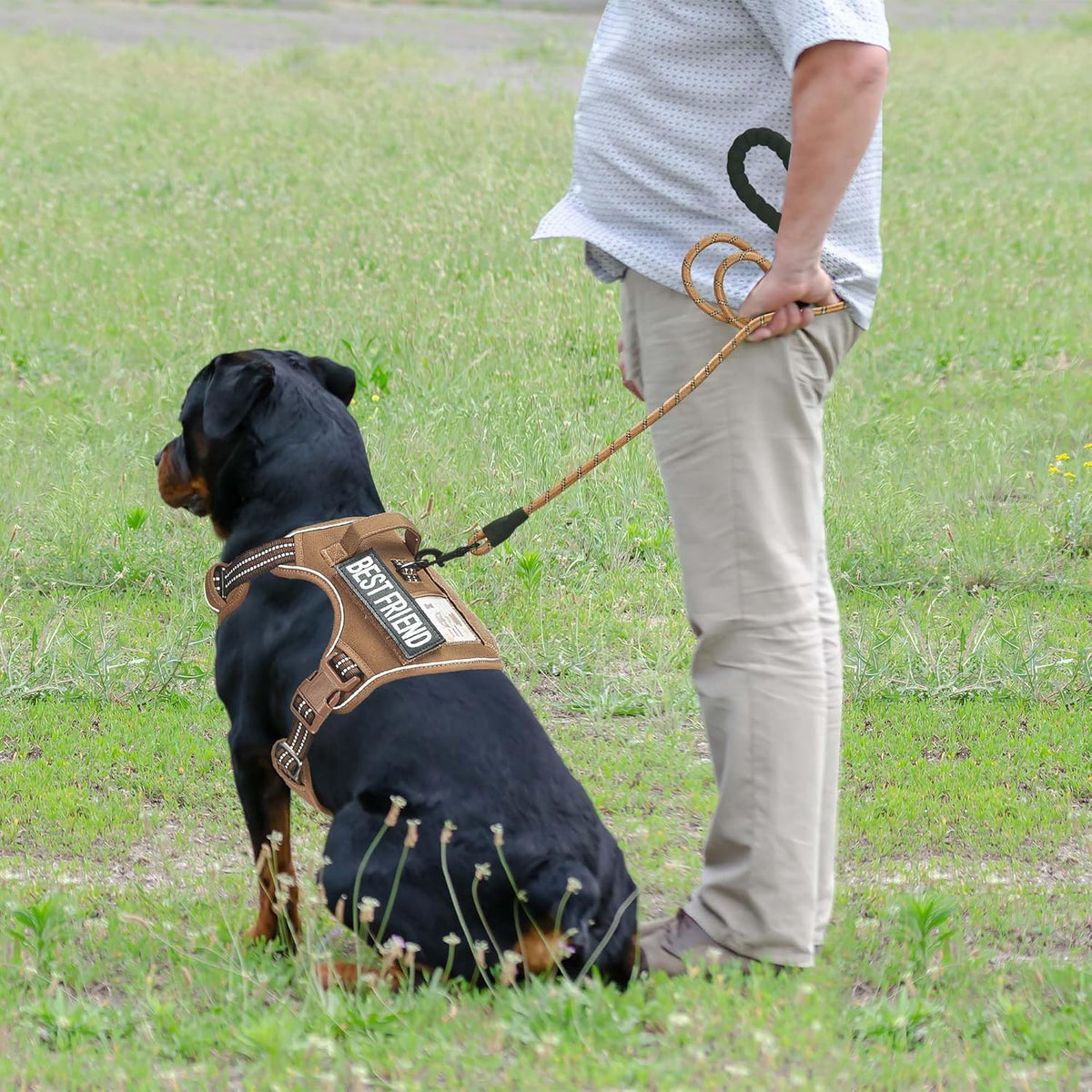 Beebiepet adjustable pet vest close up on four point adjusters