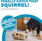 Outward Hound Hide-A-Squirrel Interactive Dog Toy Extra Large Trunk With Six Removable Squirrels