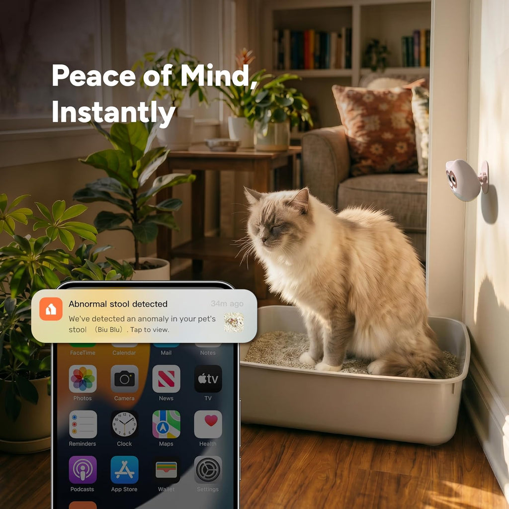 SiiPet mobile app interface showing cat health analytics