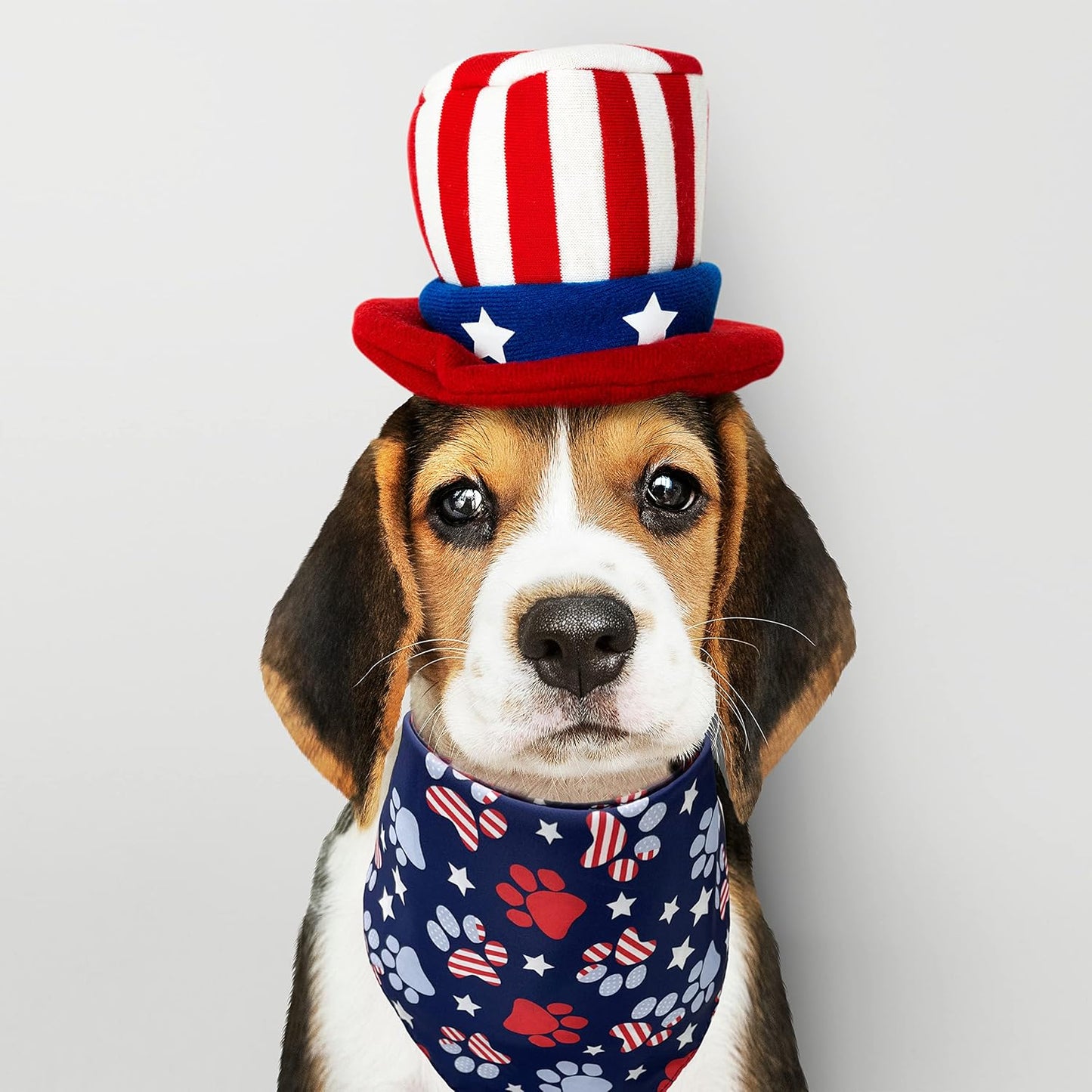 Pohshido Independence Day dog bandana close up on durable cotton fabric stitching