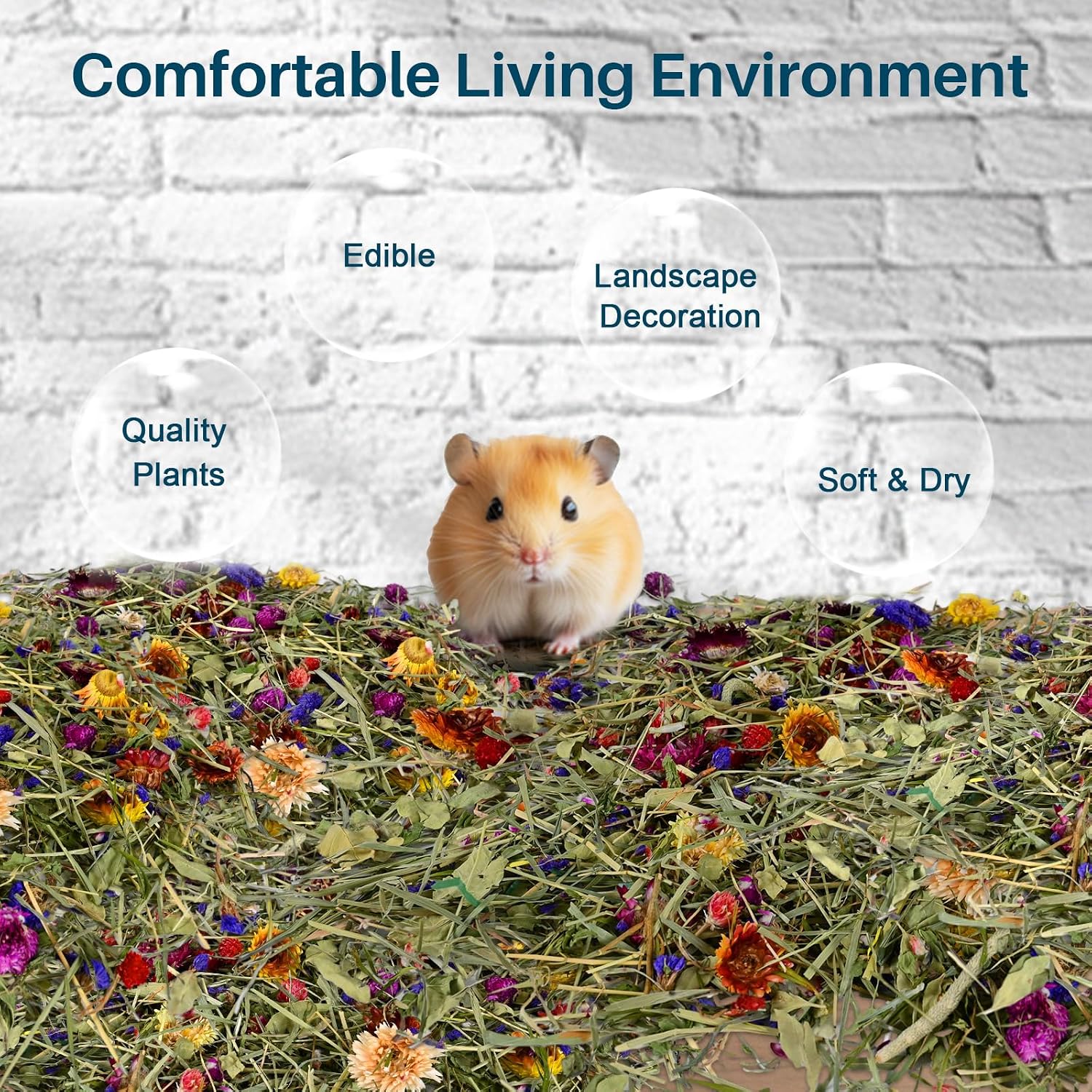 Natural dried flowers and herbs for hamster habitat decor