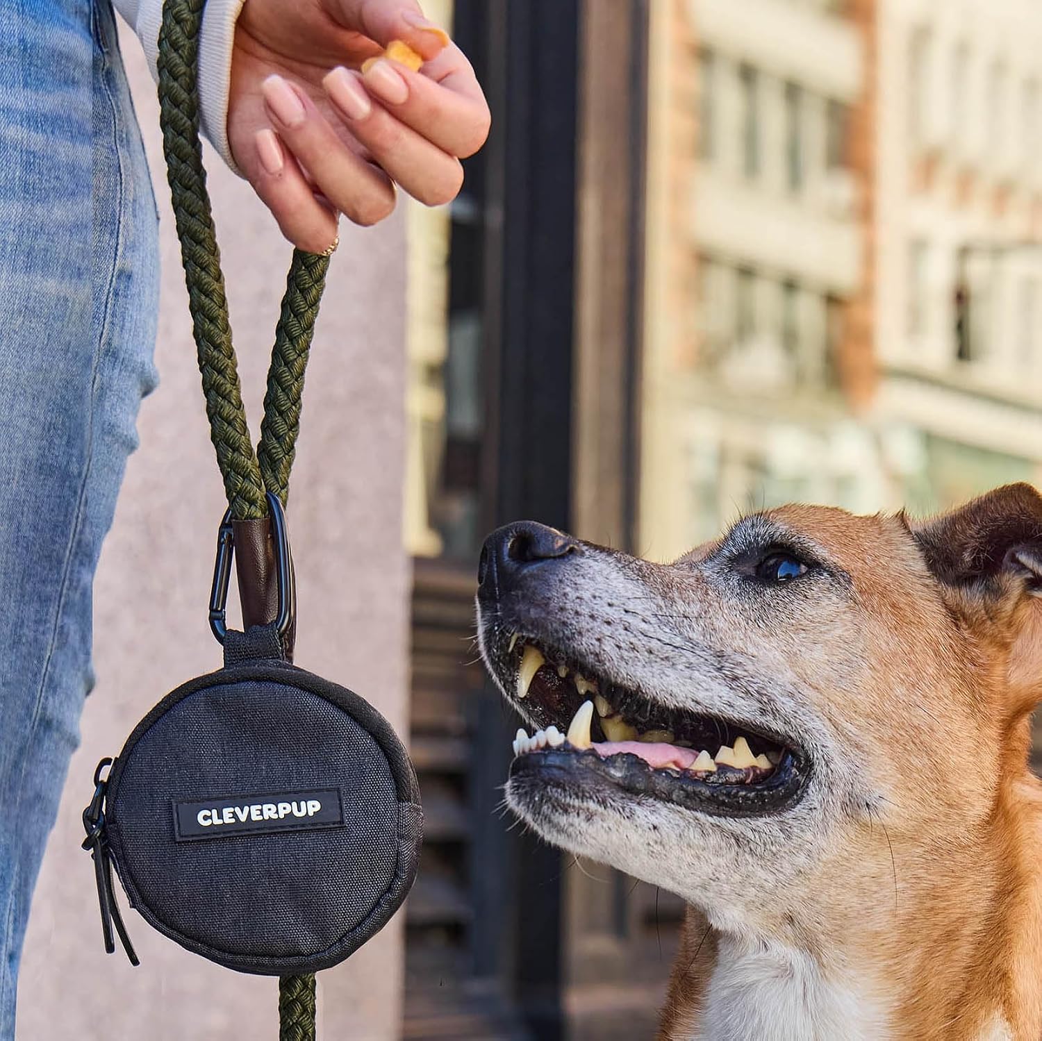 Cleverpup waterproof pet snack bag back view showing leash webbing strap