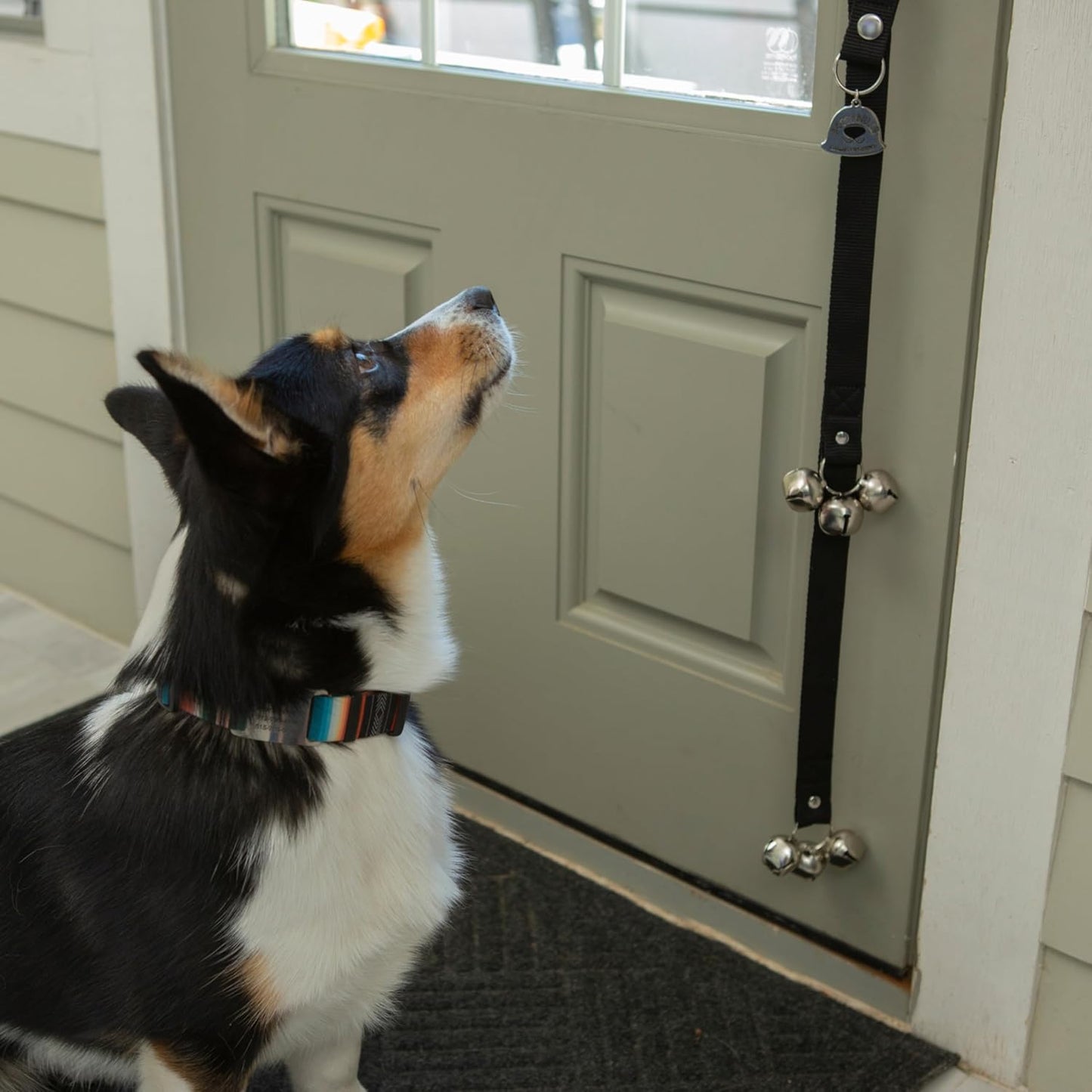 Caldwell's Pet Supply Co. branded packaging for dog bells.