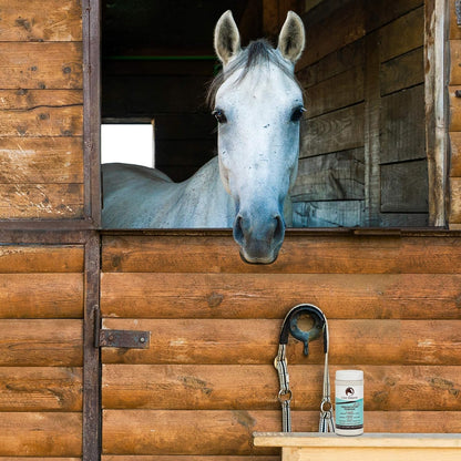Moisture wicking horse powder under saddle pad