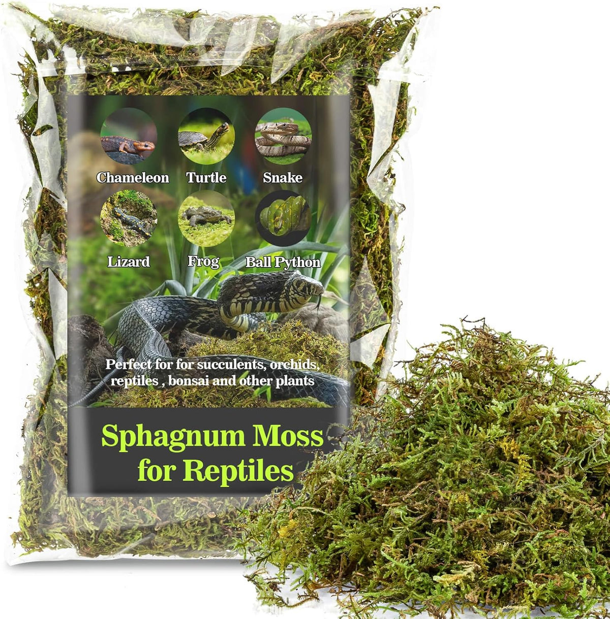 Sukh Sphagnum Moss for Reptiles - Terrarium Reptiles Moss Green Dried Peat Moss Habitat Bedding Moss for Snakes Turtle Frog Gecko and Other Reptiles Substrate (5, Ounces) - Image 10