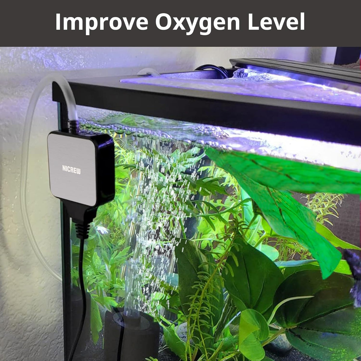 NICREW aquarium air pump attached to a planted glass fish tank