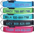 Suptmax personalized dog collar front view with embroidered name