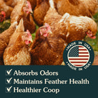 Close up texture of fine zeolite poultry powder