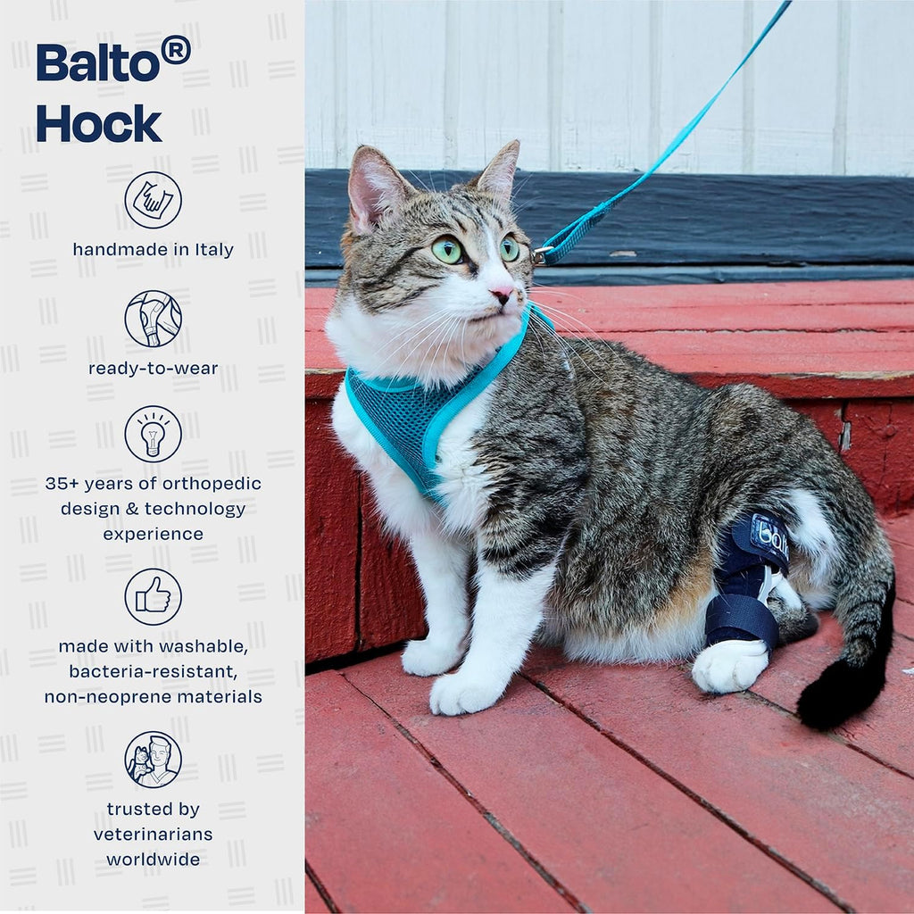 Balto Feline Hock Brace extra small size packaging