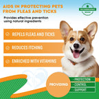 Beloved Pets natural flea control liquid drops for dogs and cats label closeup