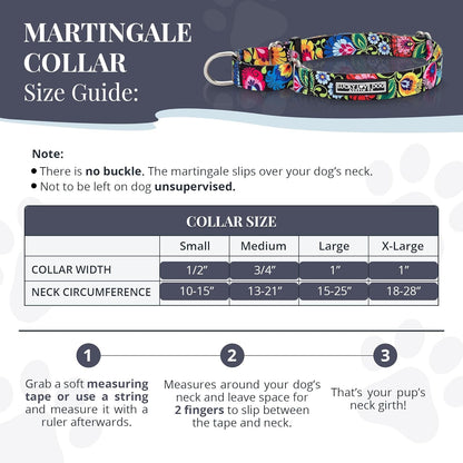 High density polyester webbing martingale dog collar with weatherproof steel D ring.