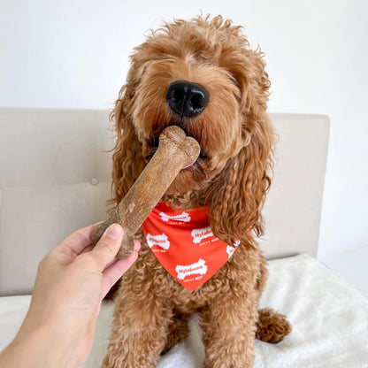 All natural long lasting digestible dog treats roast beef flavor two count pack