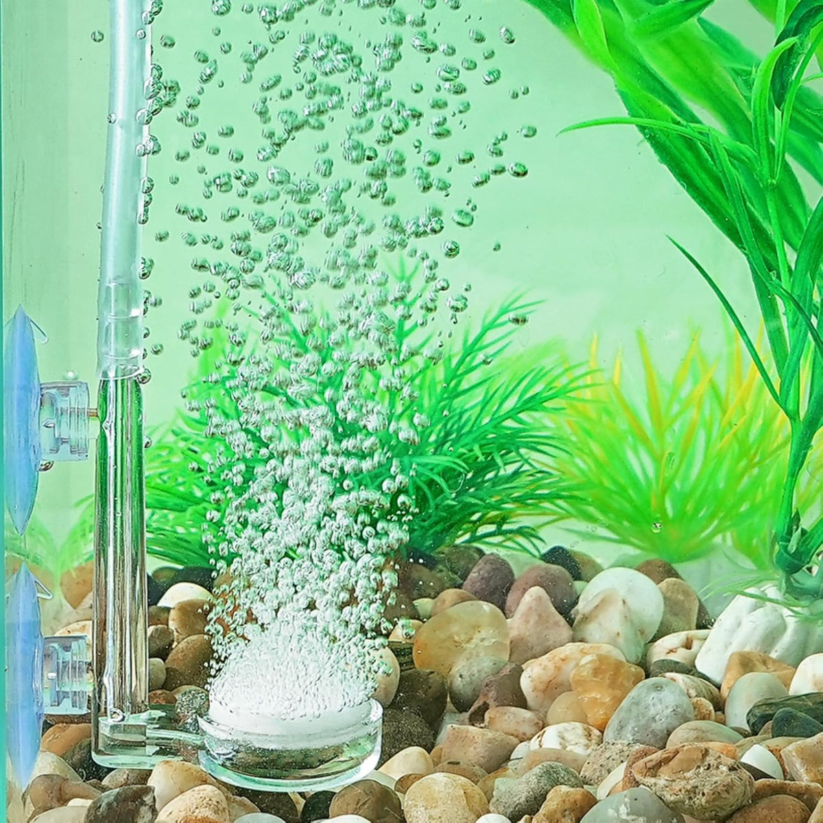 AQUANEAT one inch nano bubble stone producing fine oxygen bubbles in fish tank