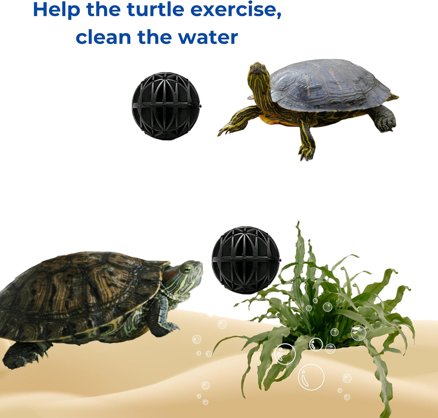 Tortoise habitat enrichment toy set with clean water purifying balls close up