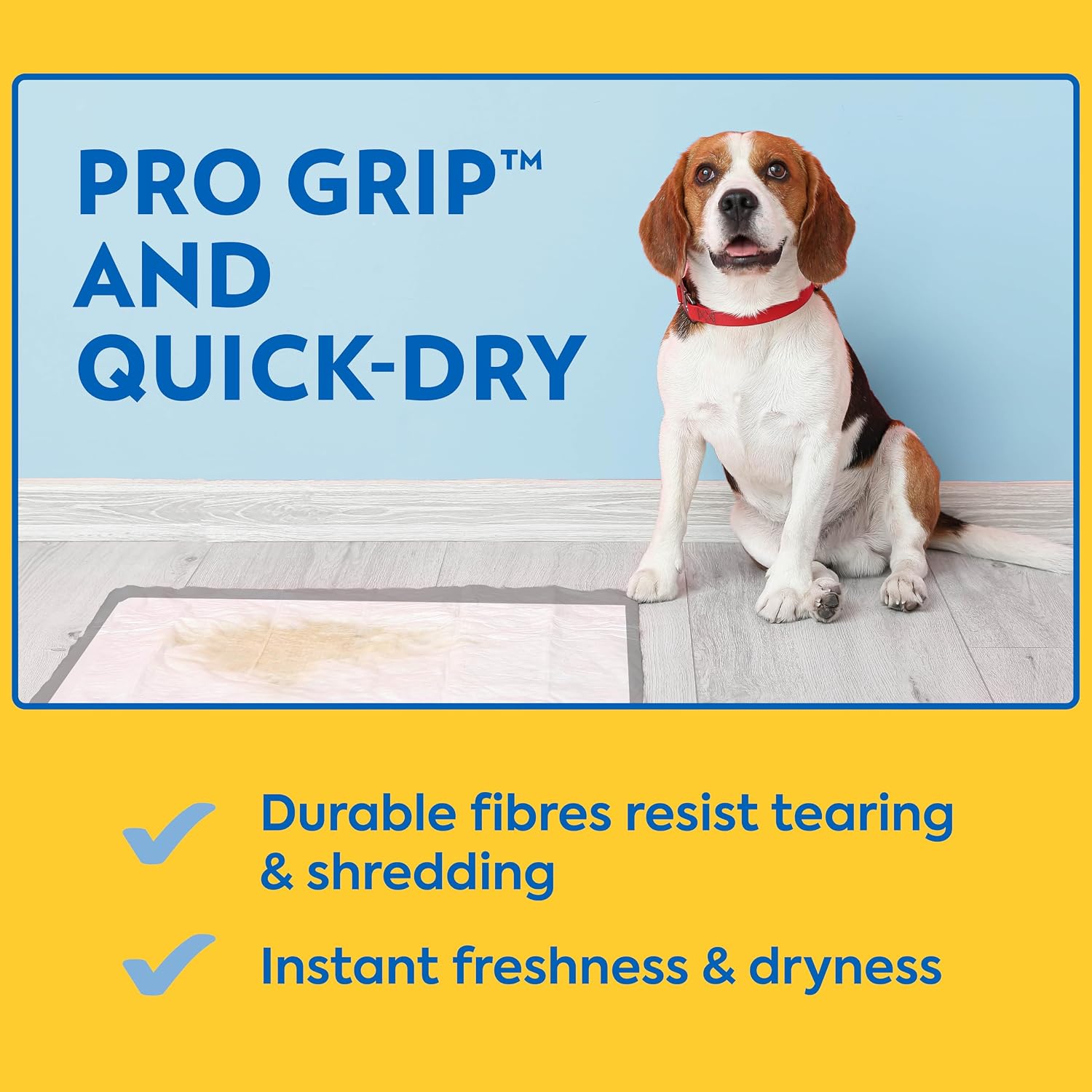 Disposable pet care training sheet with moisture control backing.
