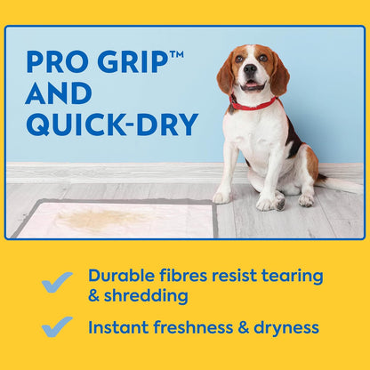 Disposable pet care training sheet with moisture control backing.