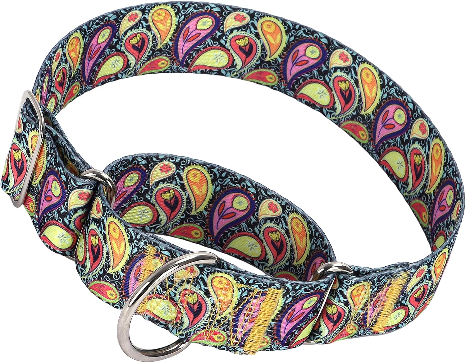 Authentic USA imported skull patterned thick dog collar flat lay