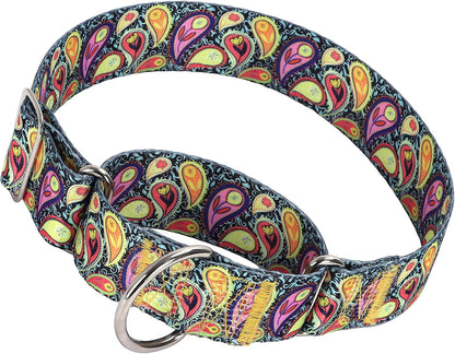 Authentic USA imported skull patterned thick dog collar flat lay