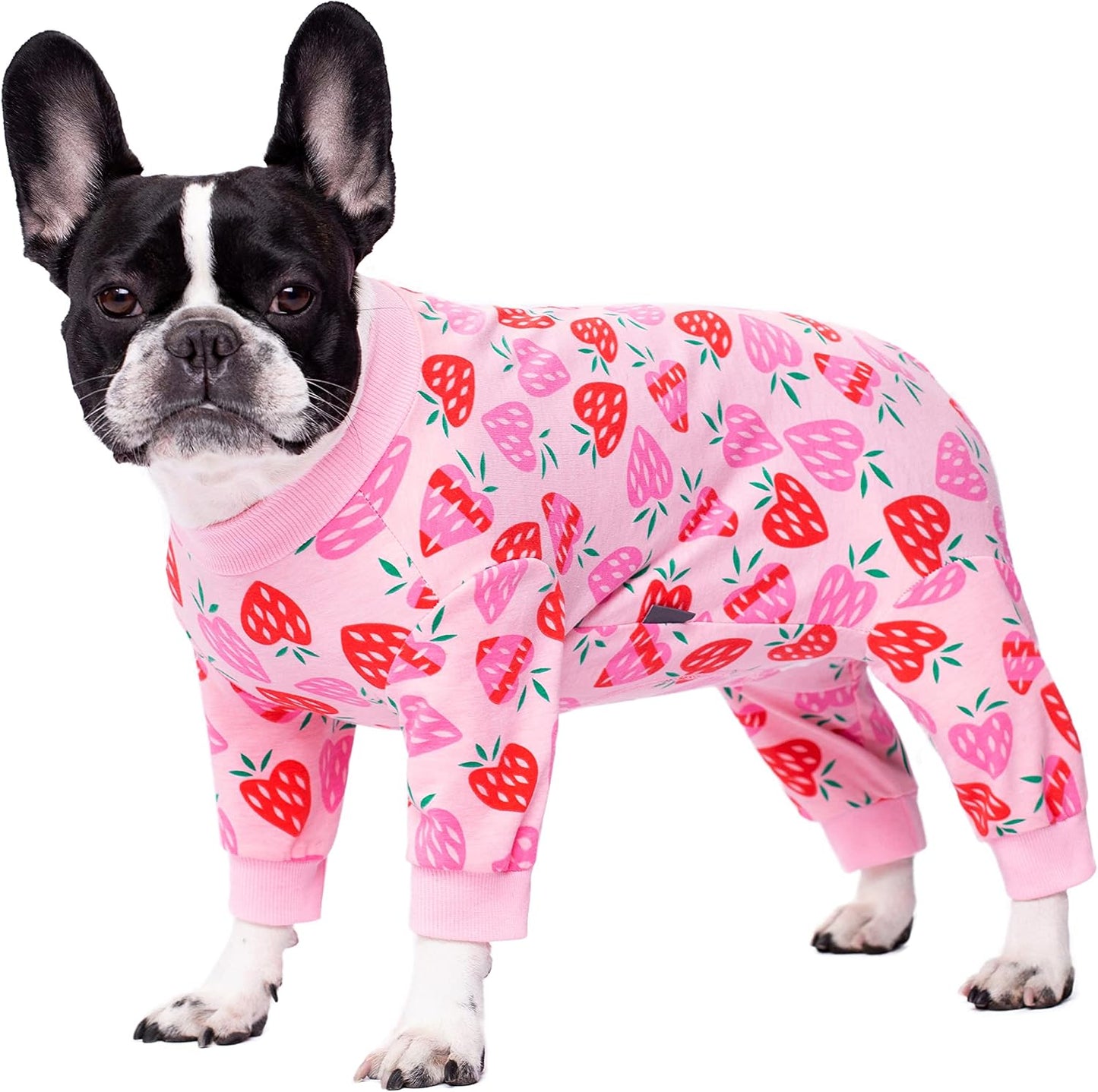 Dog Surgery Recovery Suit, Dog Onesie for Surgery Female Male Dogs, Dogs Pajamas Long Sleeve, Small Dogs Onesie, Abdominal Wound Bandages Surgical Suit, Cat Recovery Suit for Shedding Skin Disease - Image 13