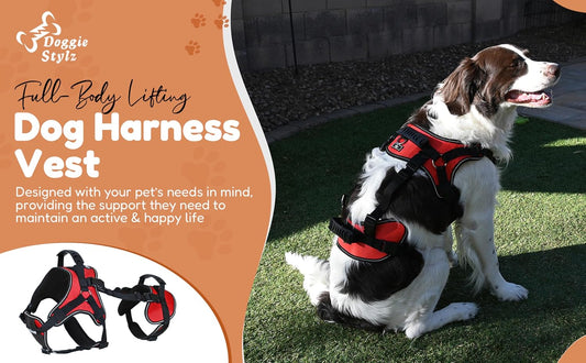 Doggie Stylz dog mobility vest with padded rubber handles