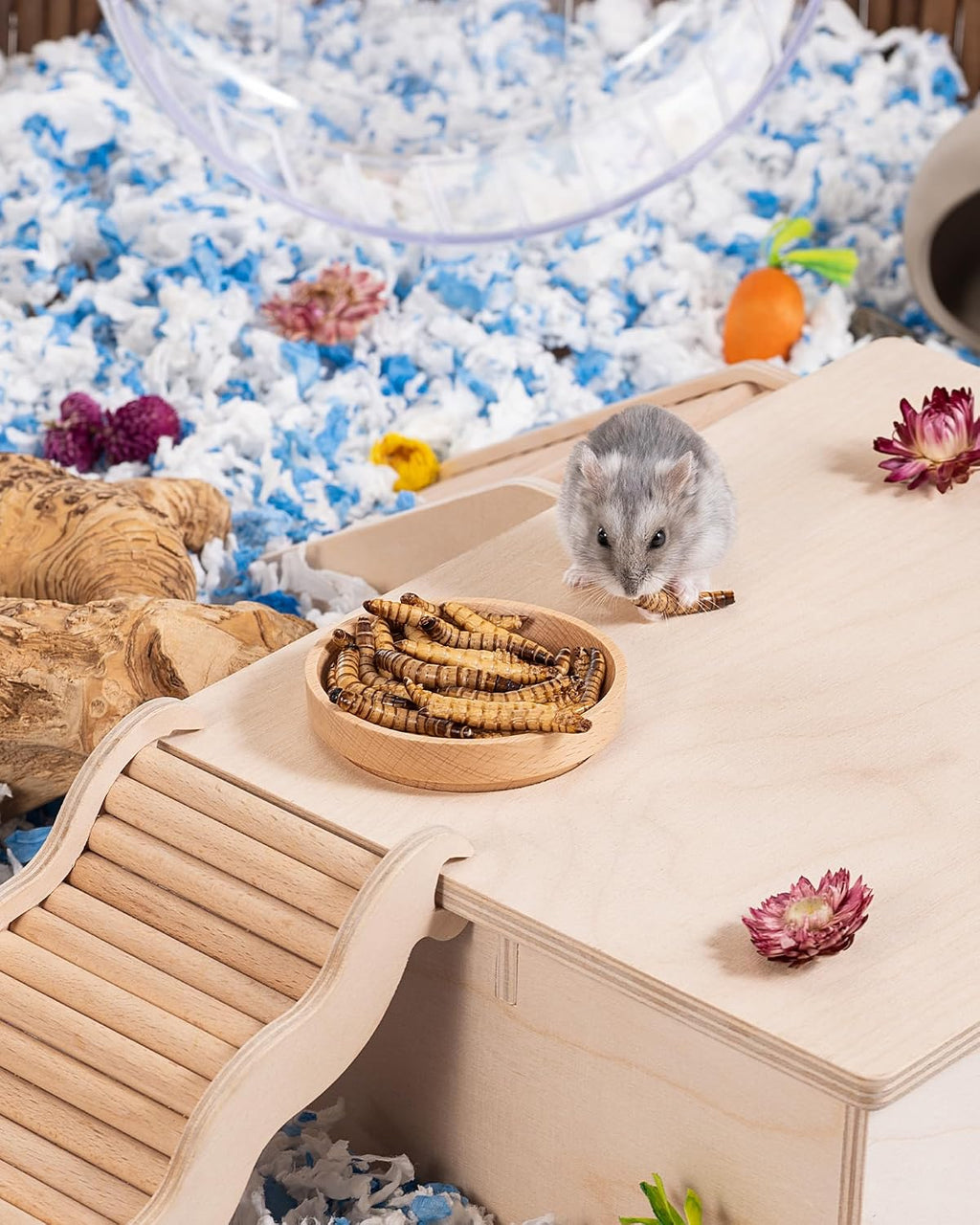 Nutritional benefits of Niteangel freeze dried worms for mice
