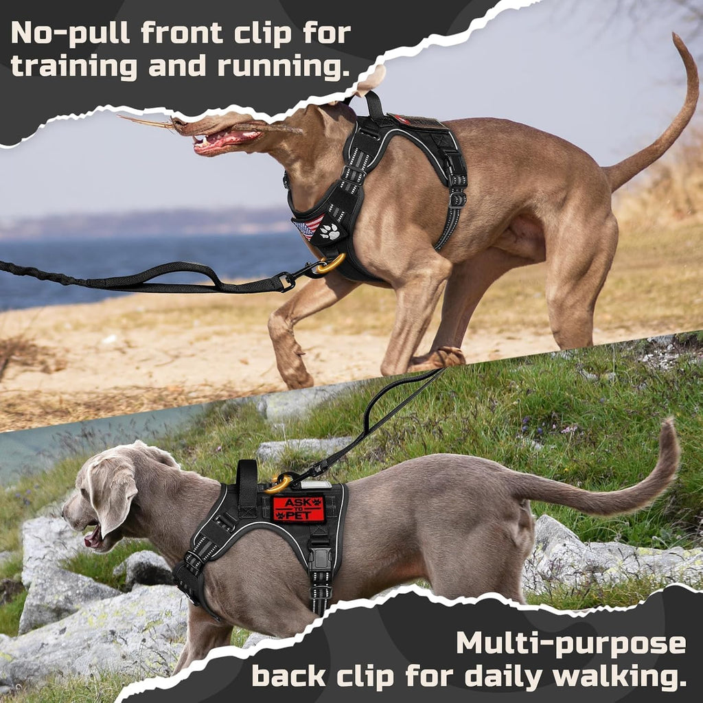 Close up of rabbitgoo harness metal leash attachment