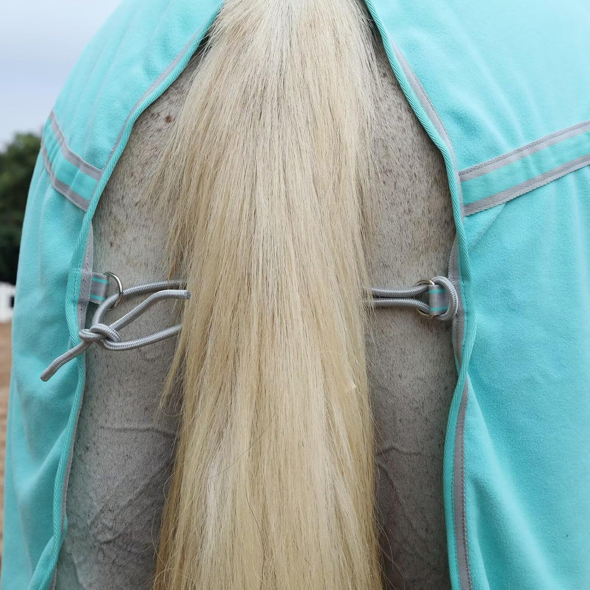 Leaforest equestrian exercise sheet tail cord detail