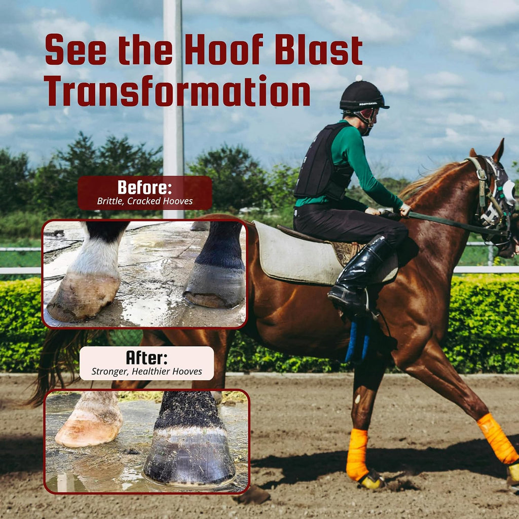Premium USA imported horse hoof supplement bag close up