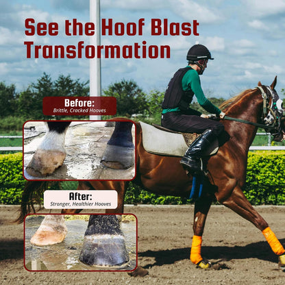 Premium USA imported horse hoof supplement bag close up