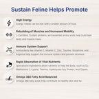 High energy nutritional support for cats by EmerAid