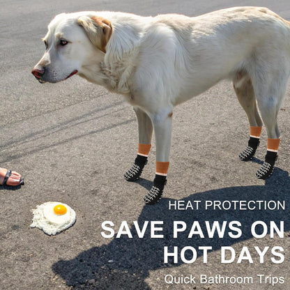 Dog wearing Beautyzoo paw protectors on hardwood floor