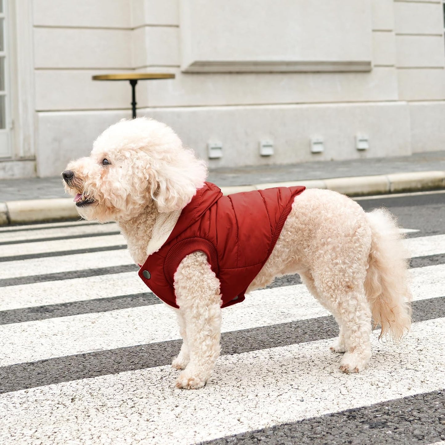 Vecomfy Fleece Lining Extra Warm Dog Hoodie in Winter,Small Dog Jacket Puppy Coats with Hooded,Red S - Image 7
