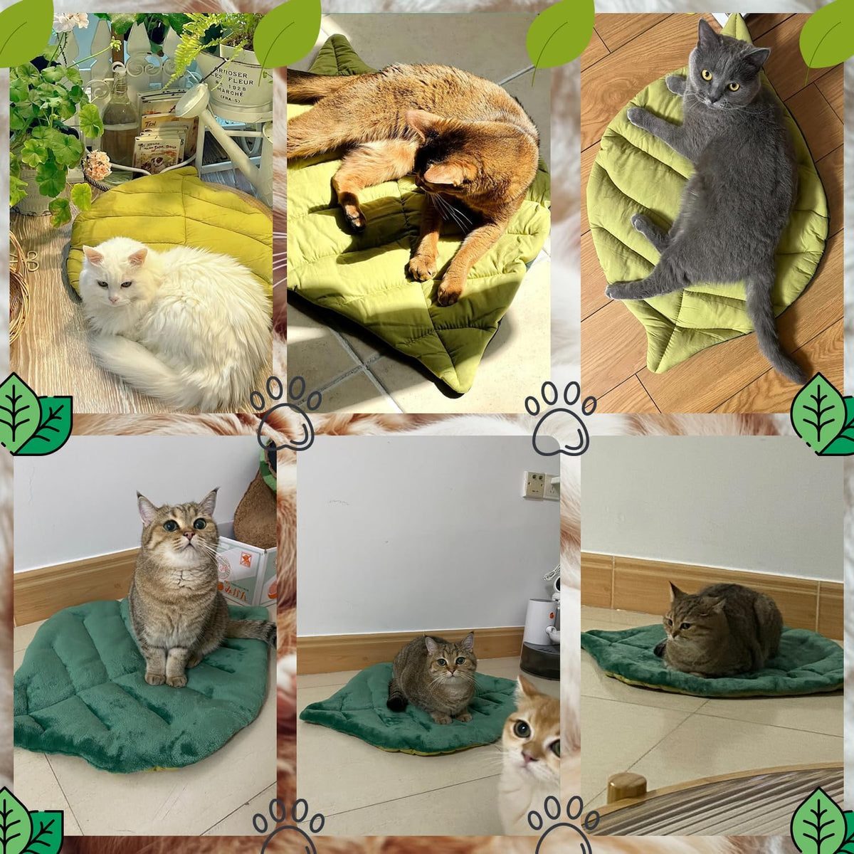Green leaf cat bed mat styled on top of a modern living room couch