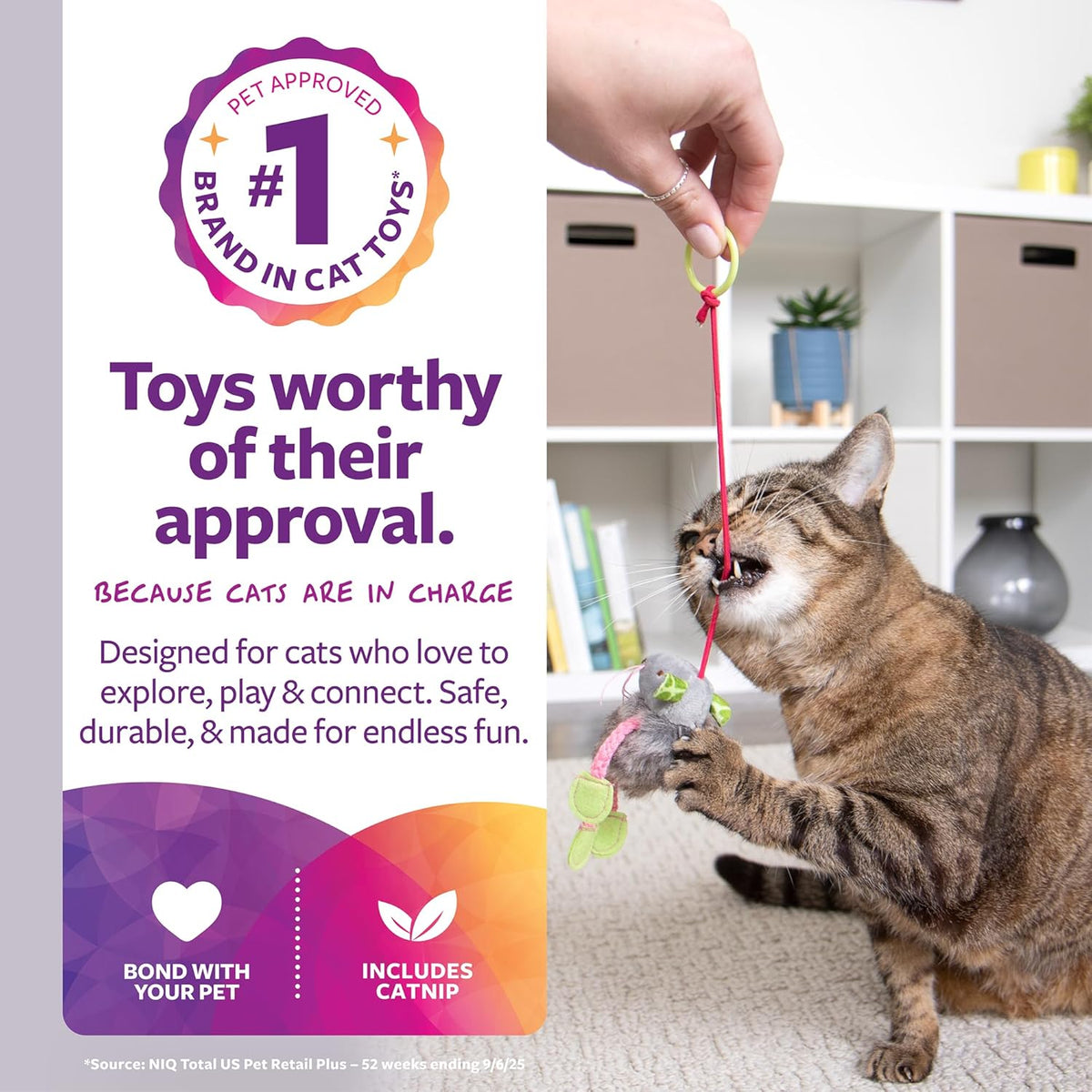 SmartyKat bungee dangler plush teaser toy being held by a pet parent.