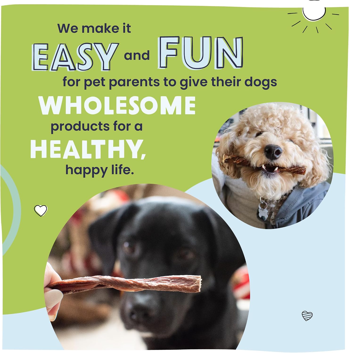 Pawstruck rawhide free dental chew sticks package details highlighting single ingredient quality