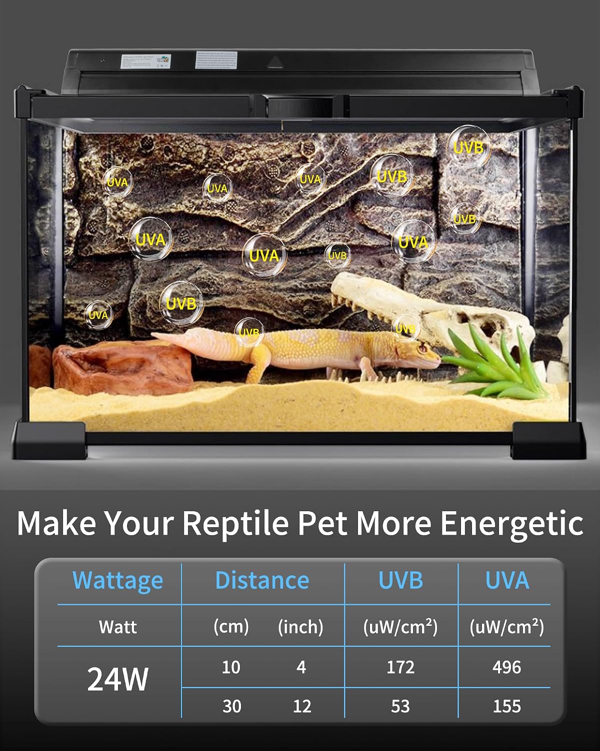 USA imported reptile UV lighting system mounted on a mesh top vivarium.