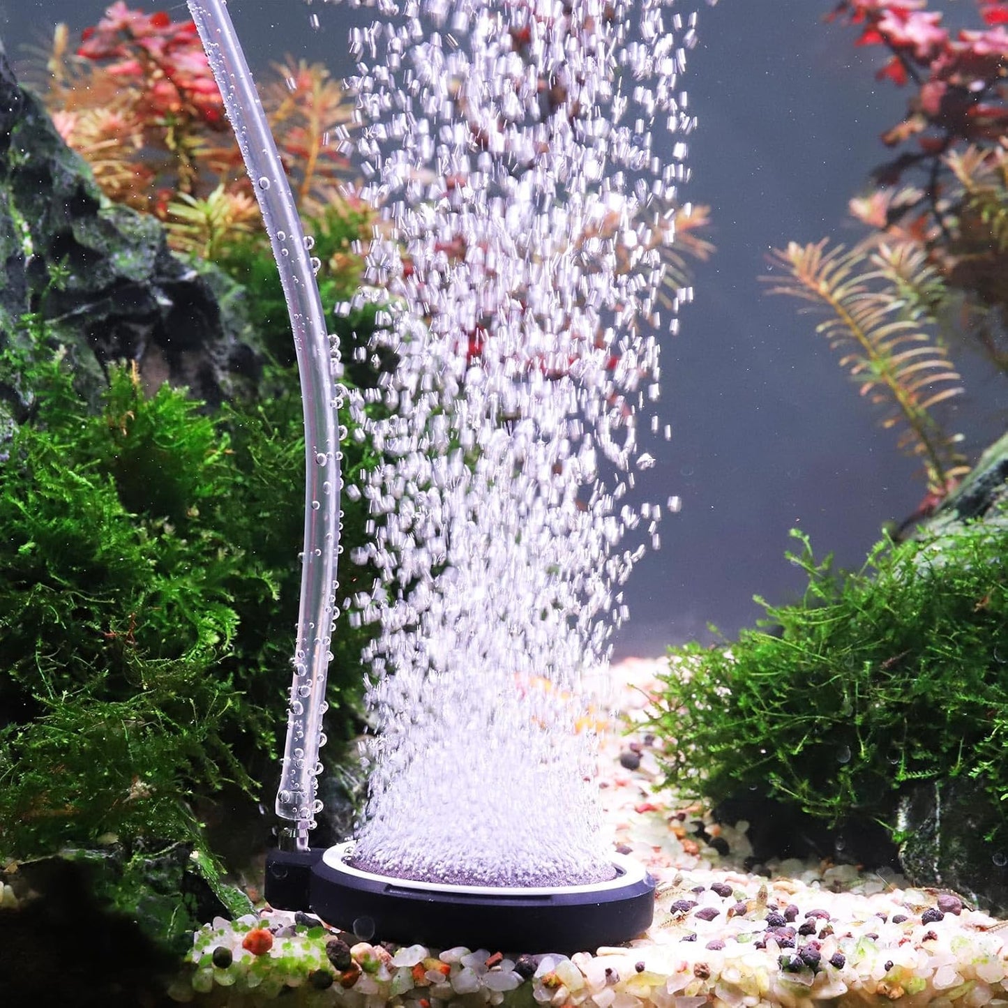 Hygger aquarium air stone nano bubble diffuser front view for oxygenation