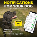 Small dog wearing the compact Dogtra Smart Nobark collar