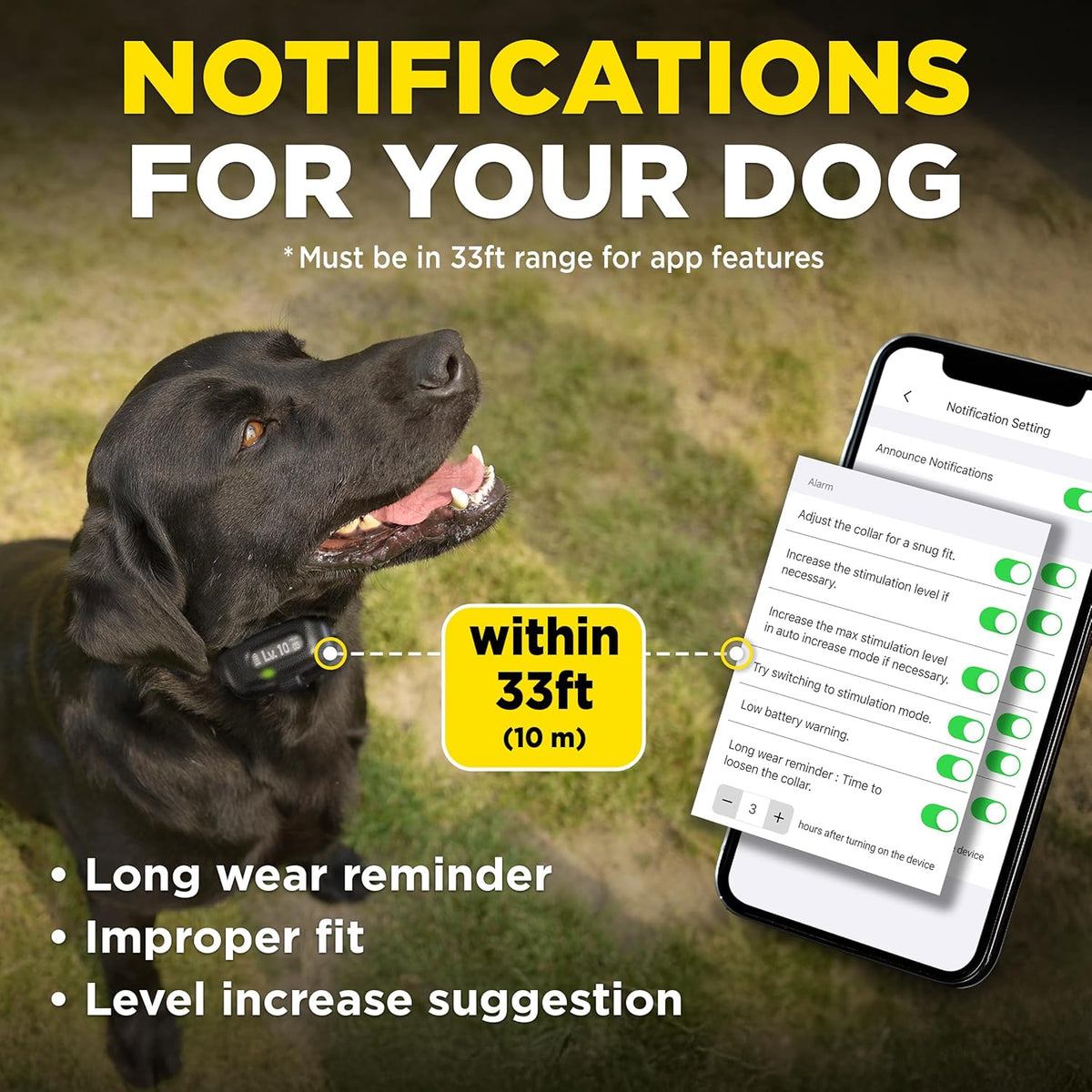 Small dog wearing the compact Dogtra Smart Nobark collar